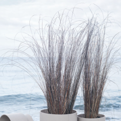 Rosendahl RO Blomsterpotte Resirkulert Sand Ø30 Cm 7 Rosendahl RO Blomsterpotte Resirkulert Sand Ø30 Cm -hemma butik 2023 2022 02 04 13 53 24 1