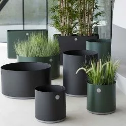 Cane-line Grow Växtlåda Rektangulär 7 Cane-line Grow Växtlåda Rektangulär -hemma butik 2023 5771adgt 5771ali 5772adgt 5772ali 5773adgt 5773ali 5774adgt 5774ali 1575423994