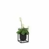 By Lassen Kubus Flowerpot 10cm Black -hemma butik 2023 bylassen kubus flowerpot 10 black plant