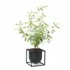 By Lassen Kubus Flowerpot 14cm Black 2 By Lassen Kubus Flowerpot 14cm Black -hemma butik 2023 bylassen kubus flowerpot 14 black plant