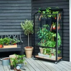 Juliana Urban Greenhouse City Greenhouse Härdat Glas Svart 0,32 M² 25 Juliana Urban Greenhouse City Greenhouse Härdat Glas Svart 0,32 M² -hemma butik 2023 f09673 citygreenhouse 5701701096730 43 mani