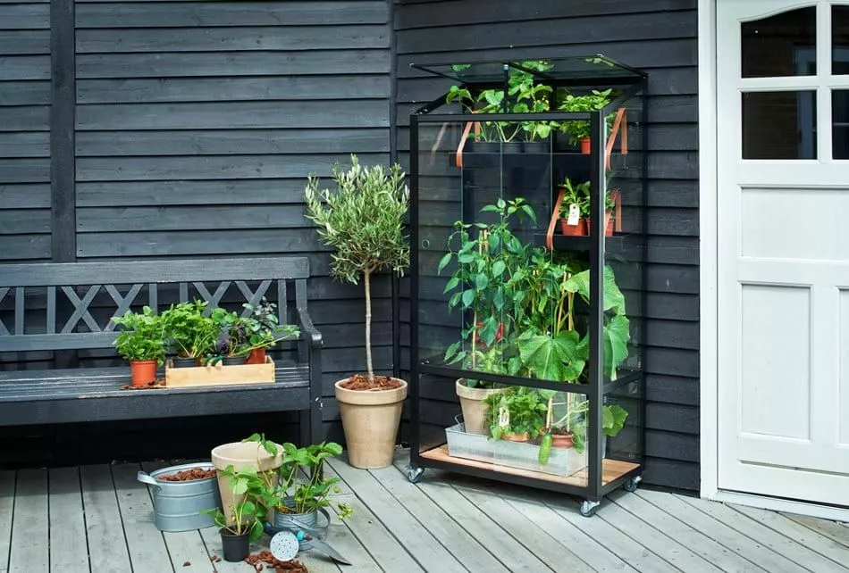 Juliana Urban Greenhouse City Greenhouse Härdat Glas Svart 0,32 M² 9 Juliana Urban Greenhouse City Greenhouse Härdat Glas Svart 0,32 M² - Bild 7