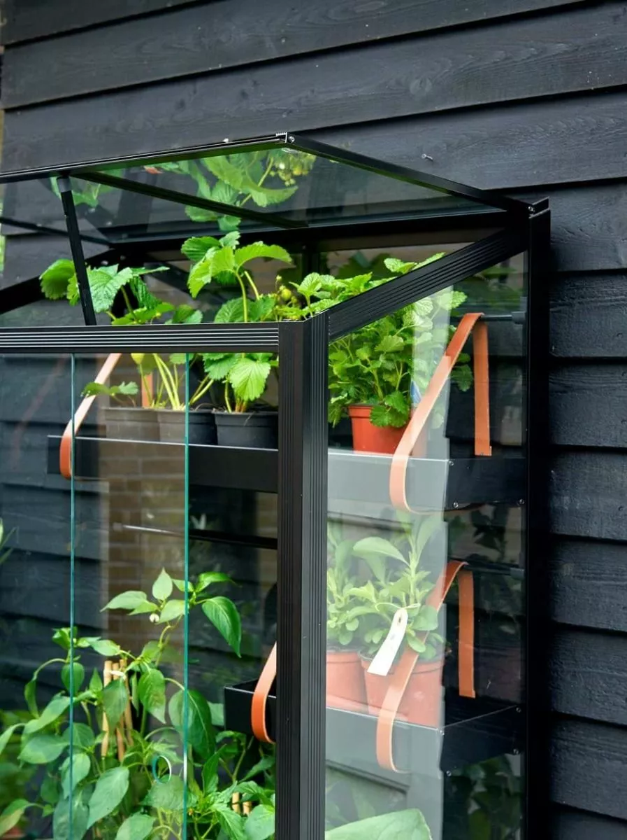 Juliana Urban Greenhouse City Greenhouse Härdat Glas Svart 0,32 M² 10 Juliana Urban Greenhouse City Greenhouse Härdat Glas Svart 0,32 M² - Bild 8