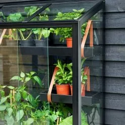 Juliana Urban Greenhouse City Greenhouse Härdat Glas Svart 0,32 M² 27 Juliana Urban Greenhouse City Greenhouse Härdat Glas Svart 0,32 M² -hemma butik 2023 f09673 citygreenhouse 5701701096730 46 mani