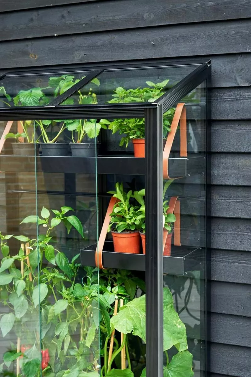 Juliana Urban Greenhouse City Greenhouse Härdat Glas Svart 0,32 M² 11 Juliana Urban Greenhouse City Greenhouse Härdat Glas Svart 0,32 M² - Bild 9