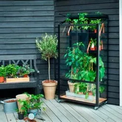 Juliana Urban Greenhouse City Greenhouse Härdat Glas Svart 0,32 M² 34 Juliana Urban Greenhouse City Greenhouse Härdat Glas Svart 0,32 M² -hemma butik 2023 f09673 juliana citygreenhouse
