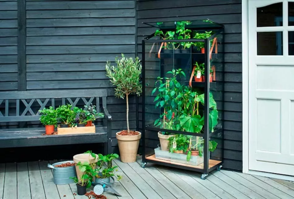 Juliana Urban Greenhouse City Greenhouse Härdat Glas Svart 0,32 M² 18 Juliana Urban Greenhouse City Greenhouse Härdat Glas Svart 0,32 M² - Bild 16