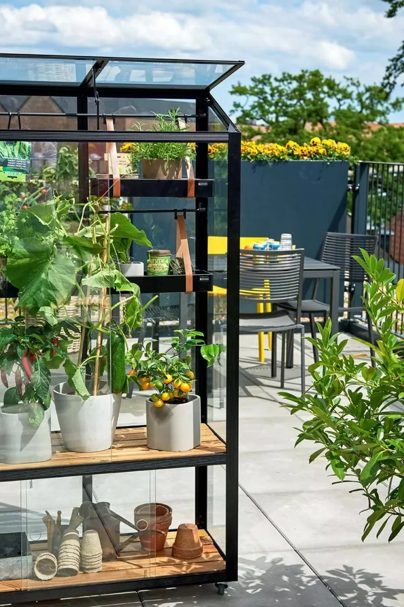 Juliana Urban Greenhouse City Greenhouse Härdat Glas Svart 0,32 M² 17 Juliana Urban Greenhouse City Greenhouse Härdat Glas Svart 0,32 M² - Bild 15