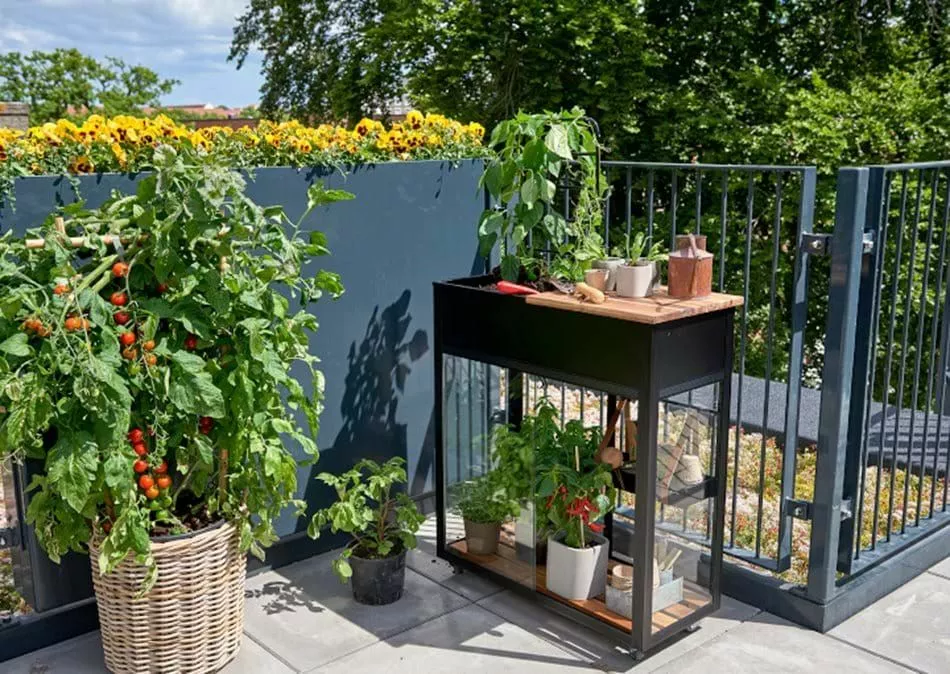 Juliana Urban Vertical Greenhouse Härdat Glas Svart 0,31 M² 8 Juliana Urban Vertical Greenhouse Härdat Glas Svart 0,31 M² - Bild 6