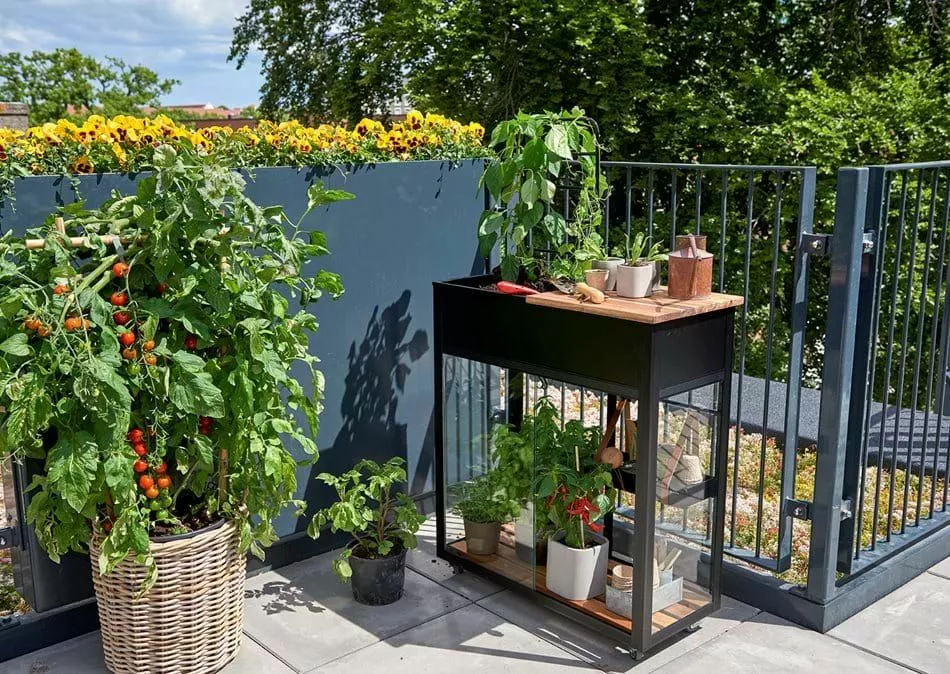 Juliana Urban Vertical Greenhouse Härdat Glas Svart 0,31 M² 3 Juliana Urban Vertical Greenhouse Härdat Glas Svart 0,31 M²