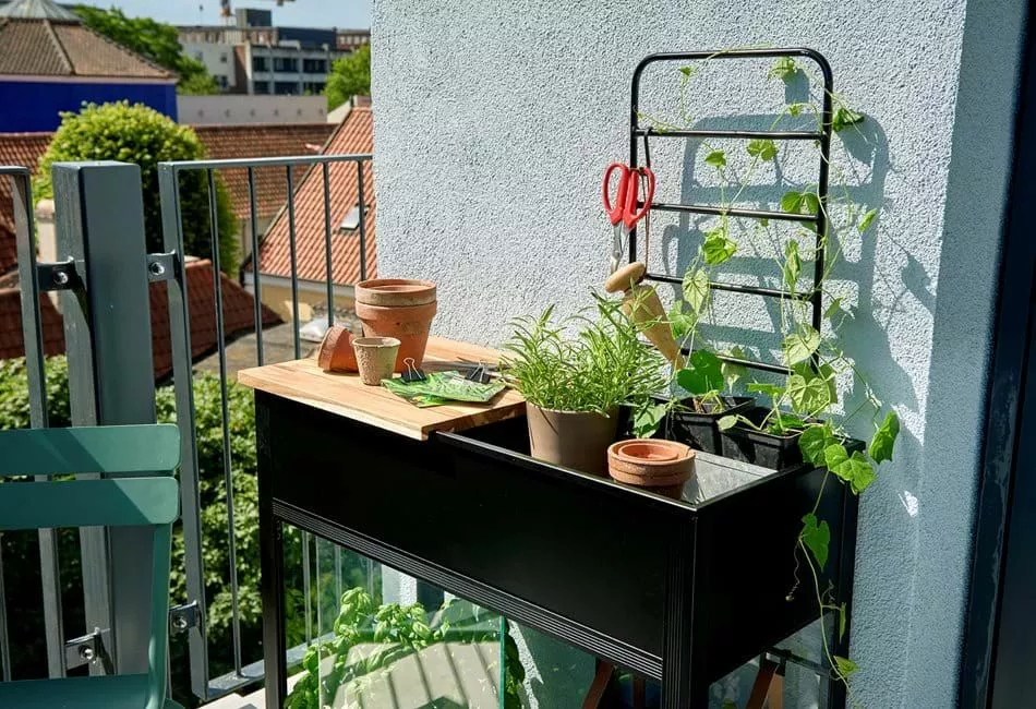 Juliana Urban Vertical Greenhouse Härdat Glas Svart 0,31 M² 6 Juliana Urban Vertical Greenhouse Härdat Glas Svart 0,31 M² - Bild 4