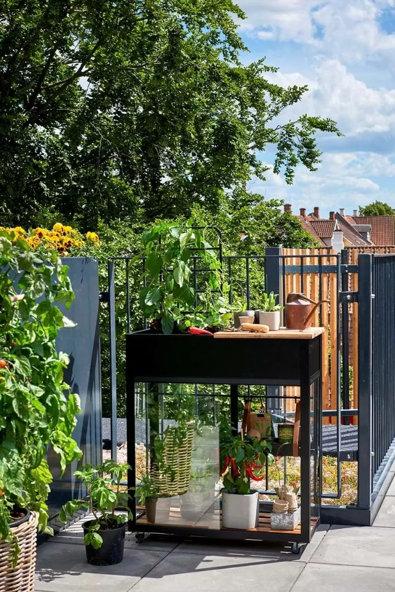 Juliana Urban Vertical Greenhouse Härdat Glas Svart 0,31 M² 4 Juliana Urban Vertical Greenhouse Härdat Glas Svart 0,31 M² - Bild 2