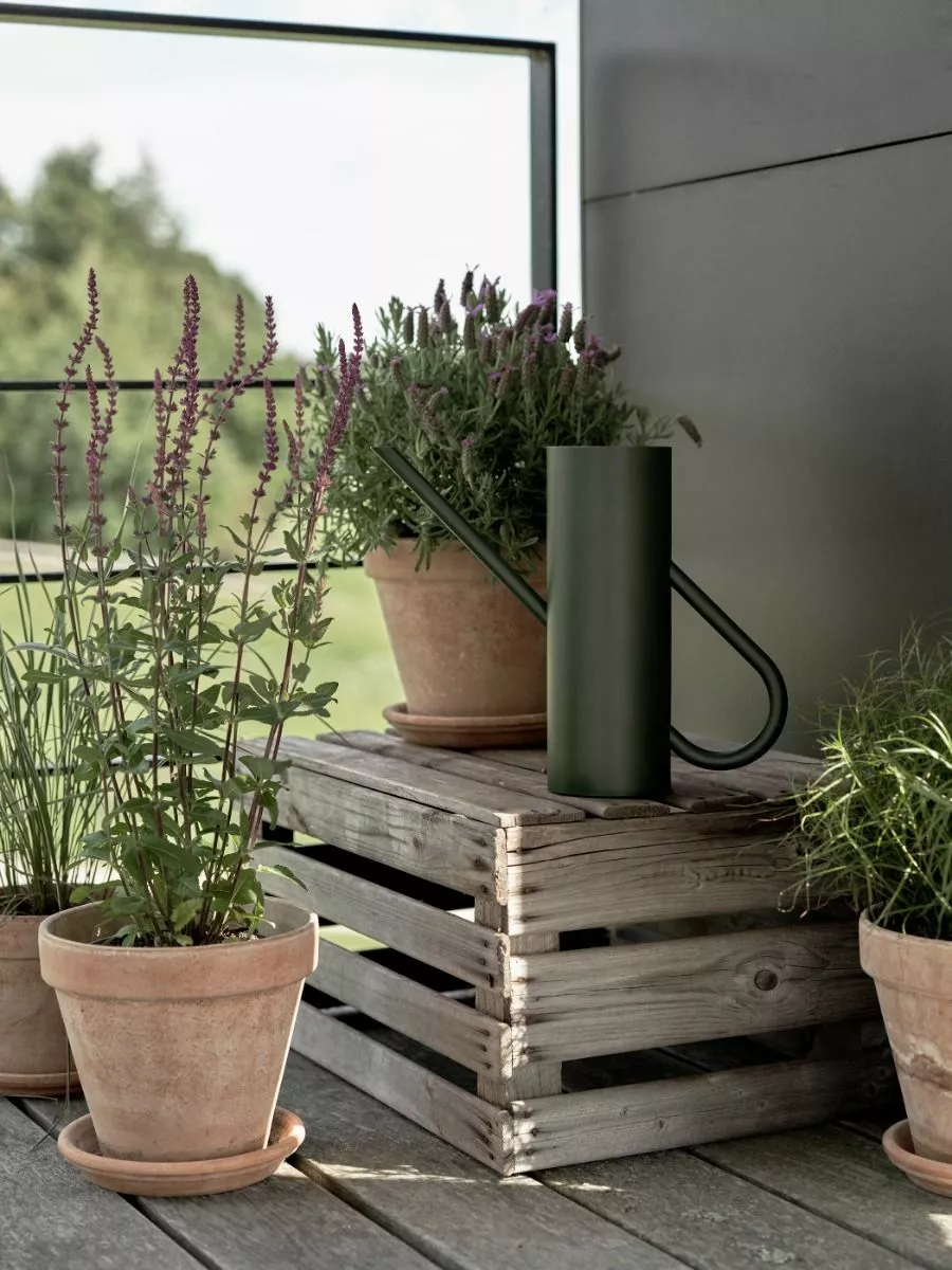 Stelton Bloom Vannkanne Mørk Grønn 2l 5 Stelton Bloom Vannkanne Mørk Grønn 2l - Bild 3