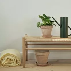 Stelton Bloom Vannkanne Mørk Grønn 2l 10 Stelton Bloom Vannkanne Mørk Grønn 2l -hemma butik 2023 ls 345 bloom 1