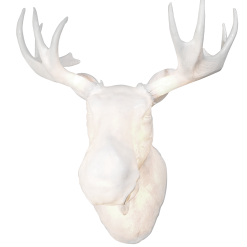 Northern Moo Vägglampa